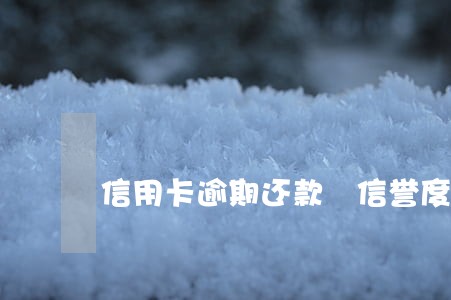 信用卡逾期还款 信誉度吗 信用卡逾期还款 信誉度吗
